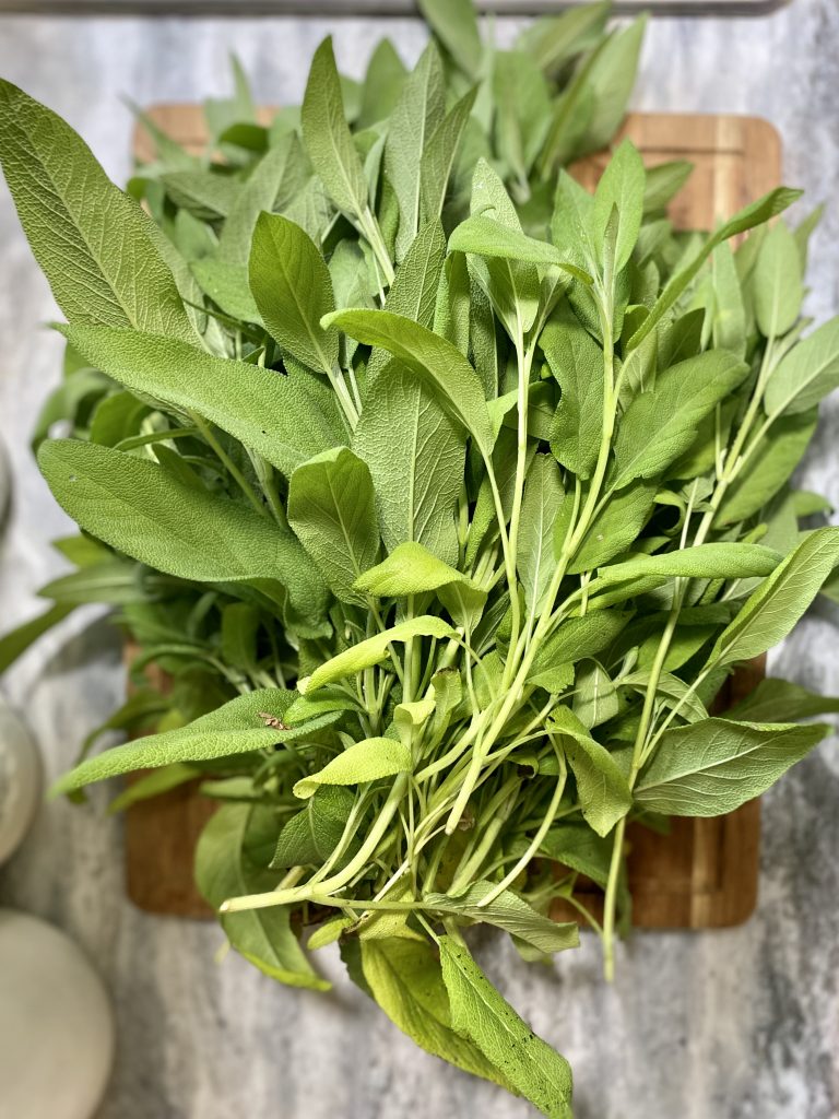 fresh sage from the garden