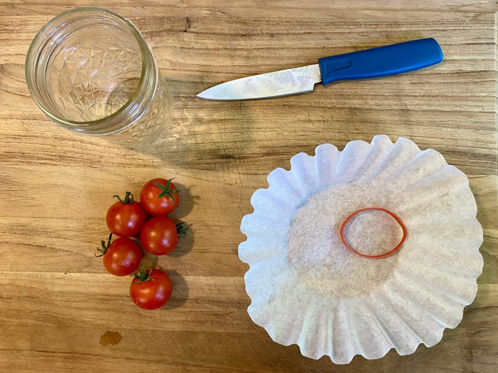 Tomato seed-saving supplies
