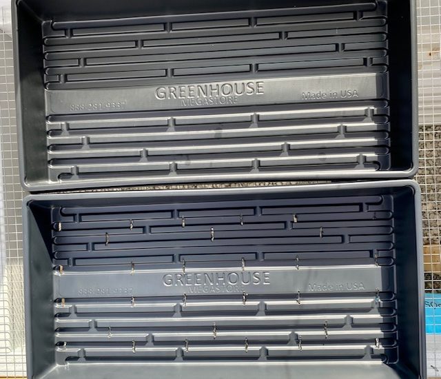 trays with and without holes