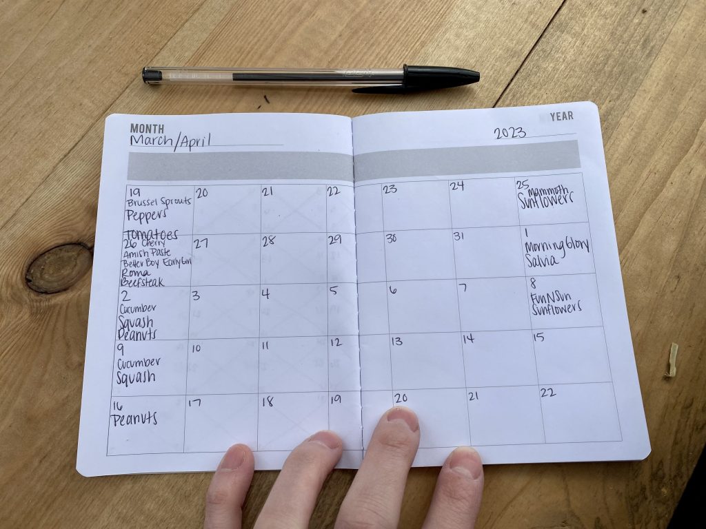 tools and supplies for seed starting, calendar