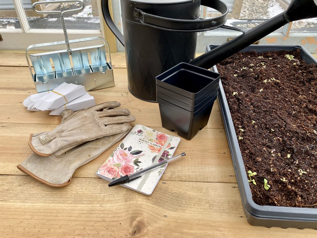 Tools and supplies needed for seed starting
