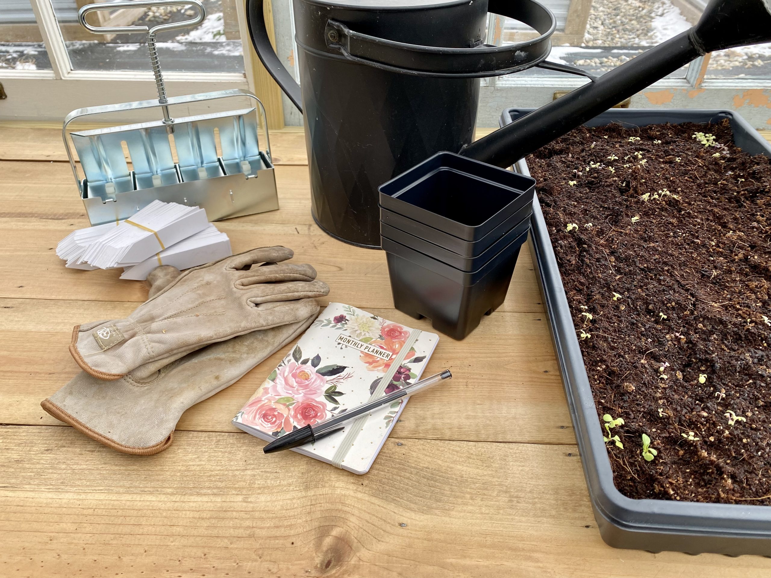 Tools and supplies needed for seed starting