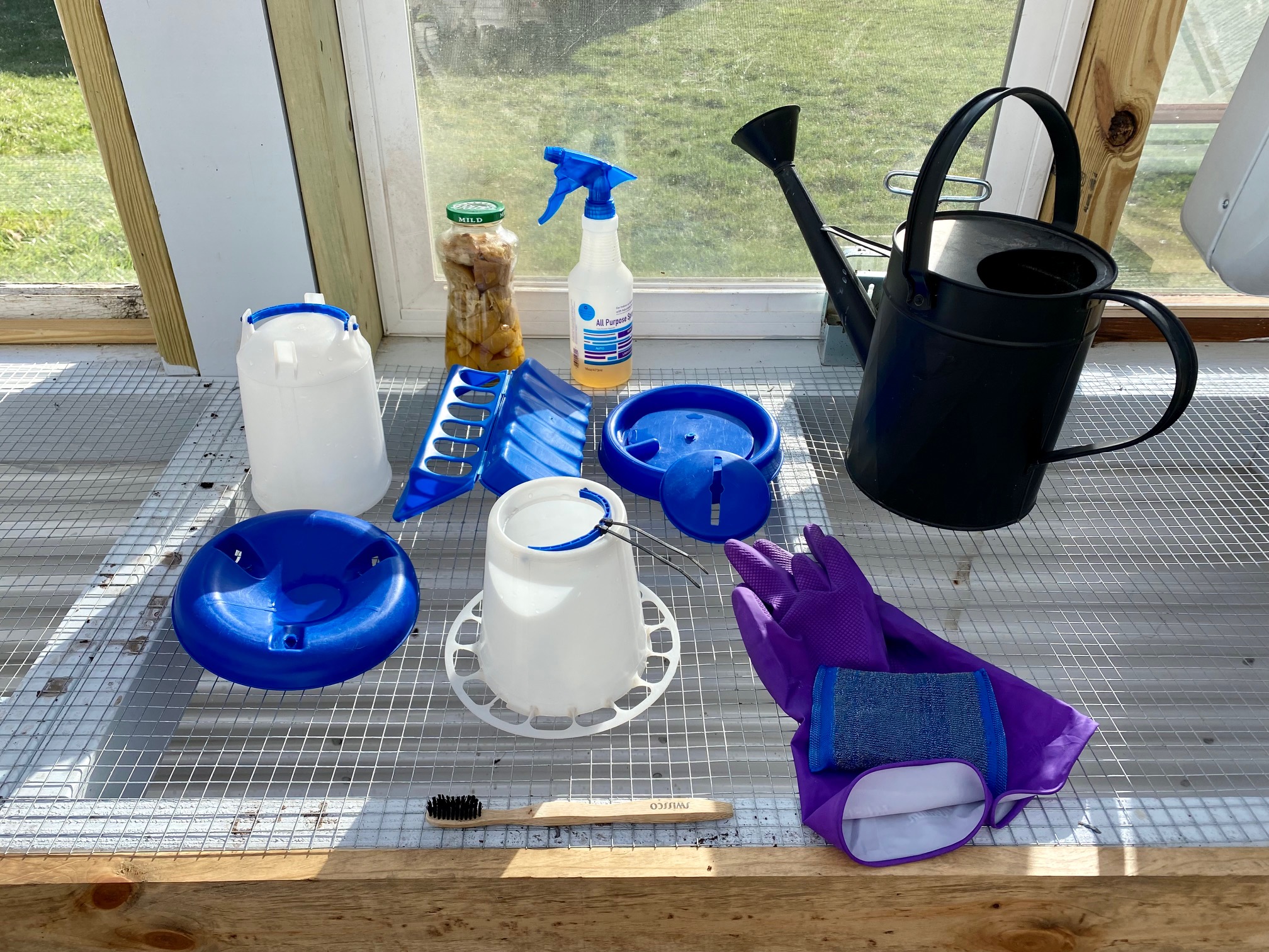 cleaning and sanitation for raising chickens