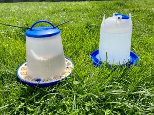 food and water