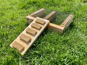 food and water stand for raising chickens