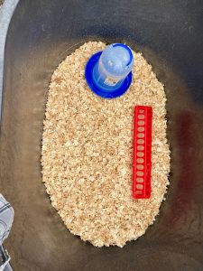 clean brooder