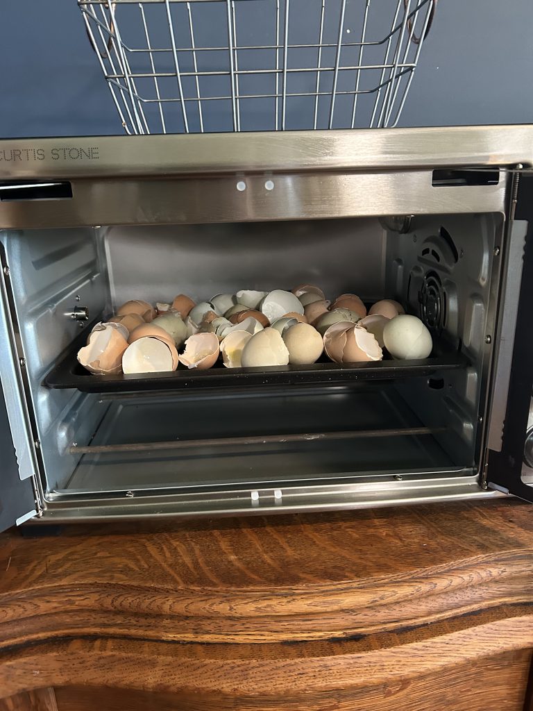 egg shells in toaster oven