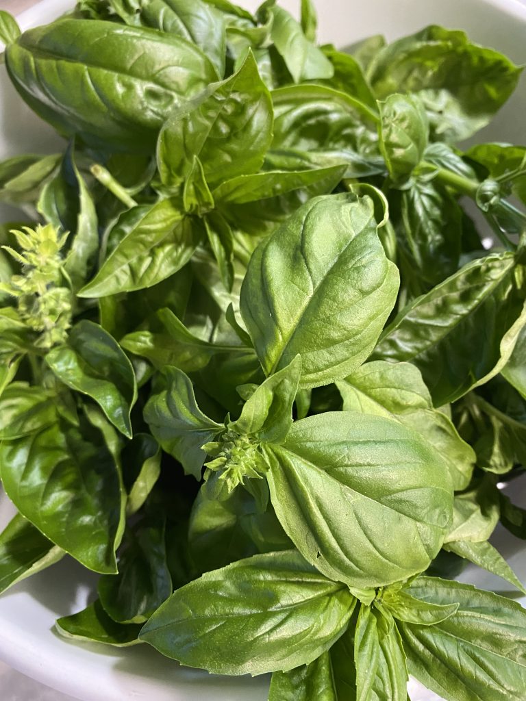 fresh basil
