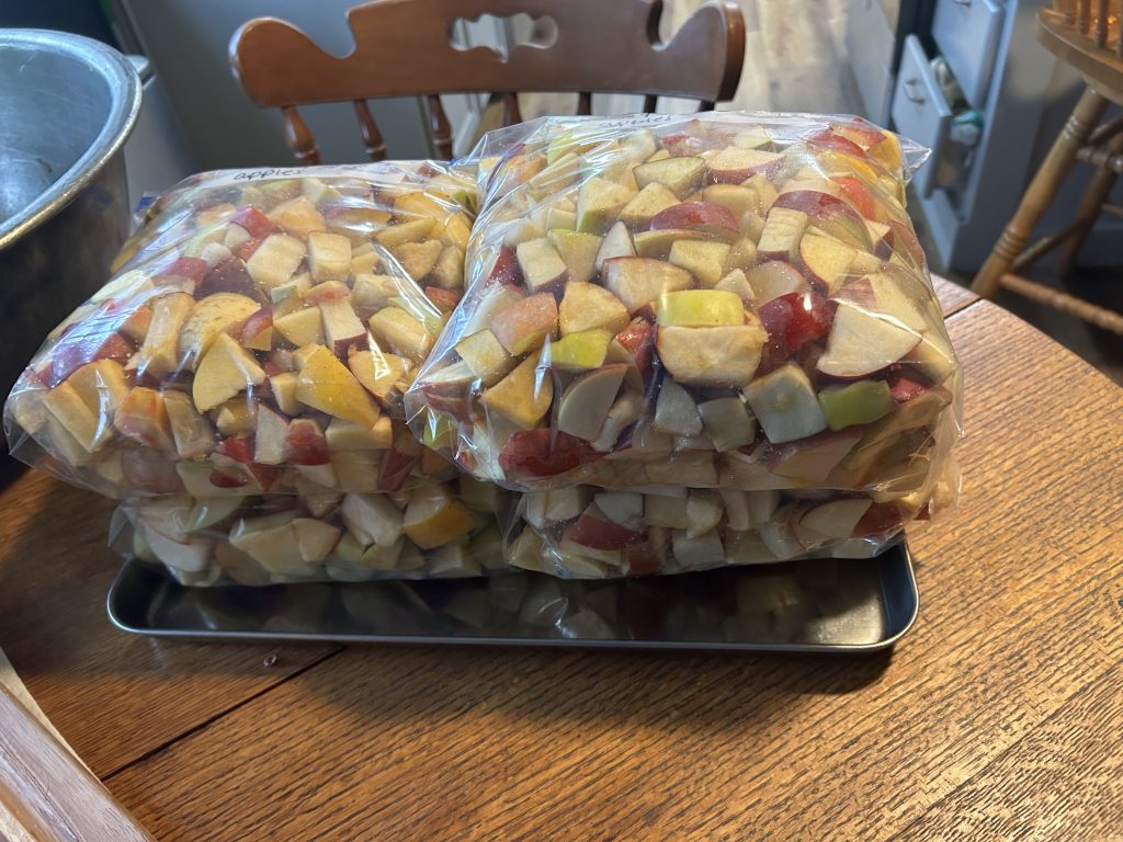 How to Freeze Garden Produce