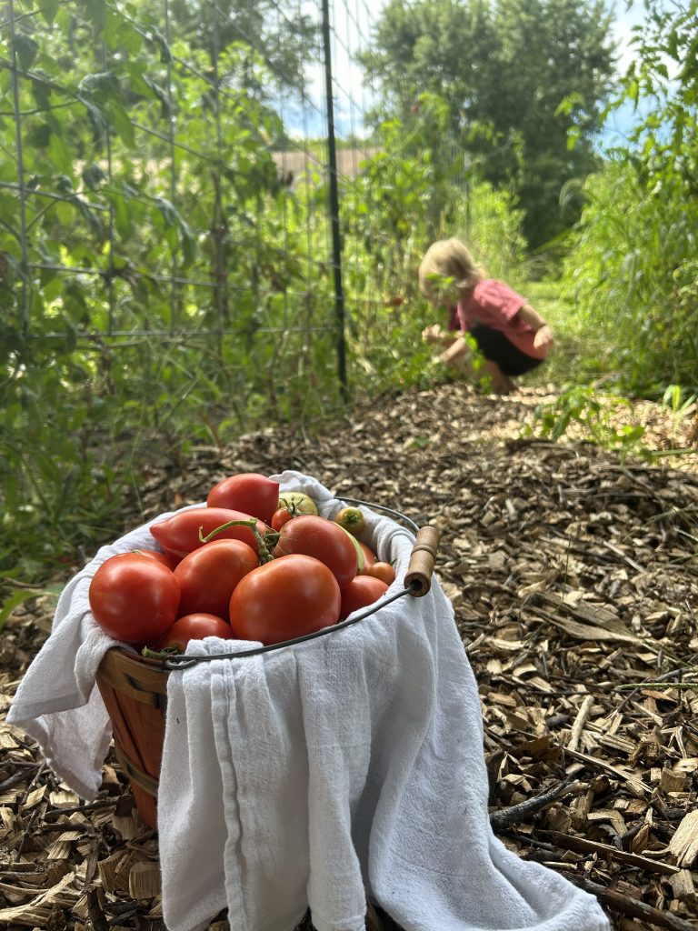garden produce