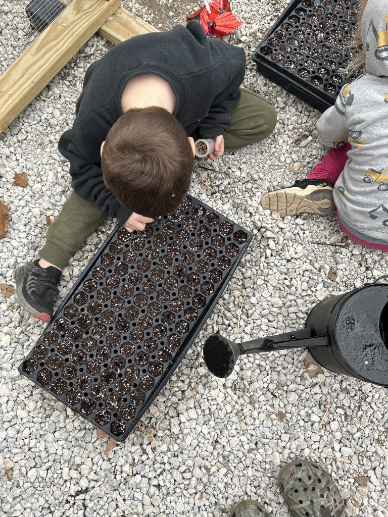 starting seeds