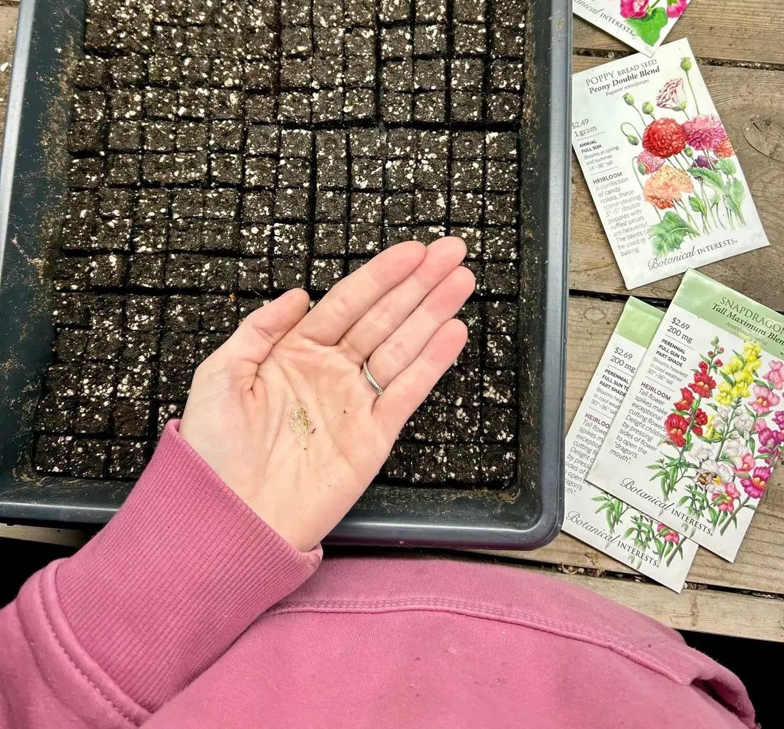 How to start seeds indoors
