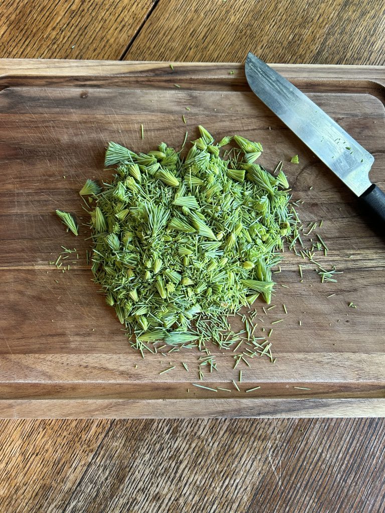 rough chopped spruce tips