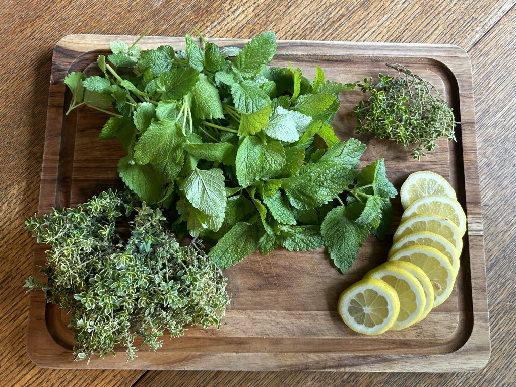 Homemade Herbal Infused Vinegar Cleaner Recipe