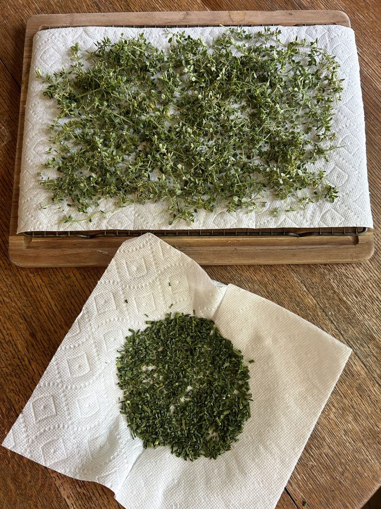 drying herbs naturally