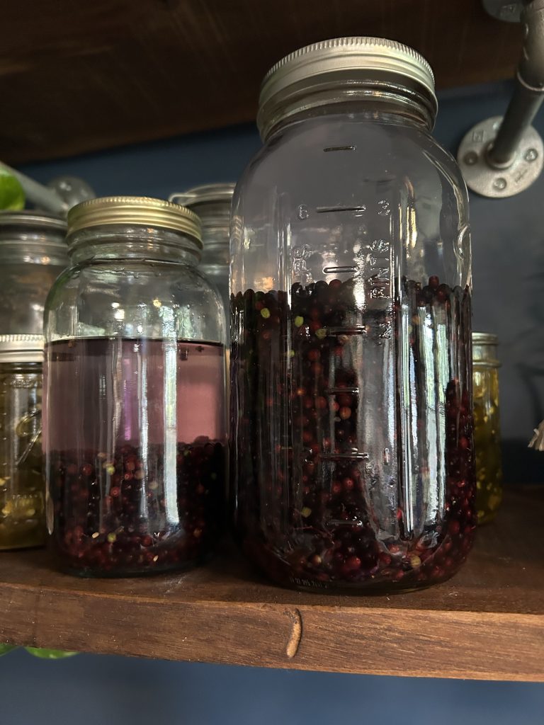 elderberry tincture