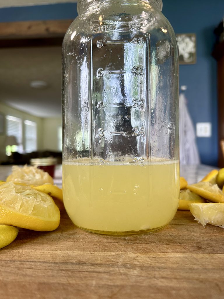 Fresh Squeezed Homemade Lemonade juice