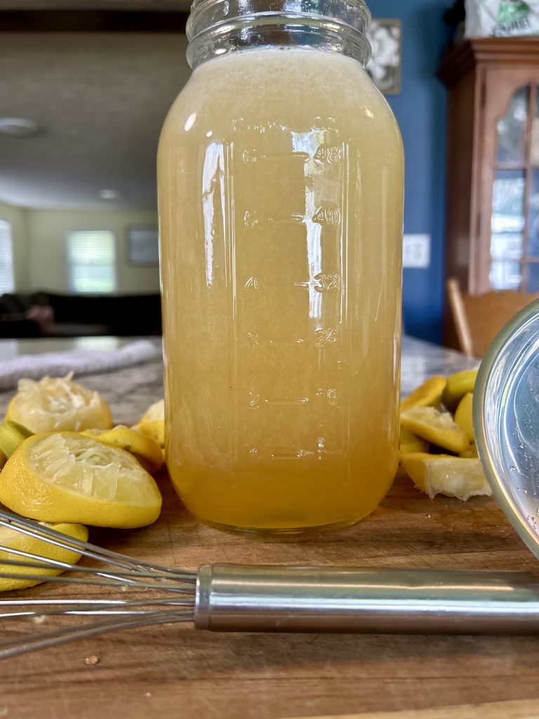 Fresh Squeezed Homemade Lemonade