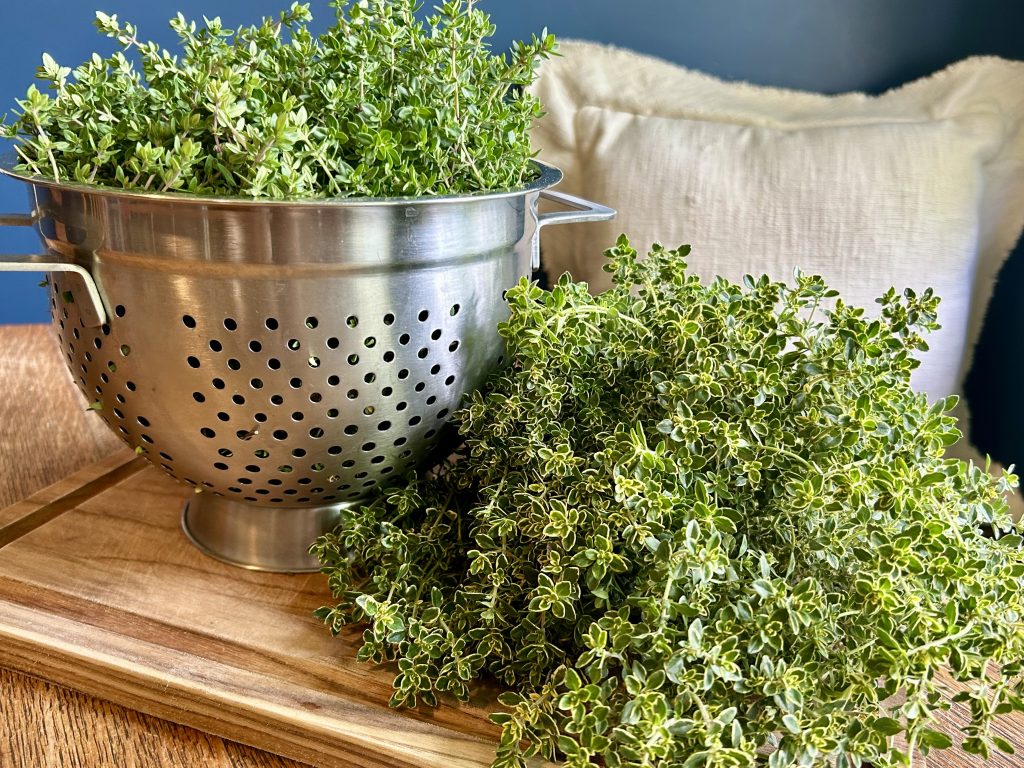 thyme for herbal infused honey